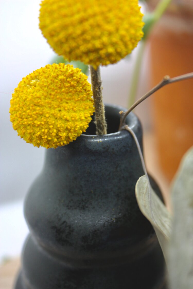 Velvet Black Bud Vase